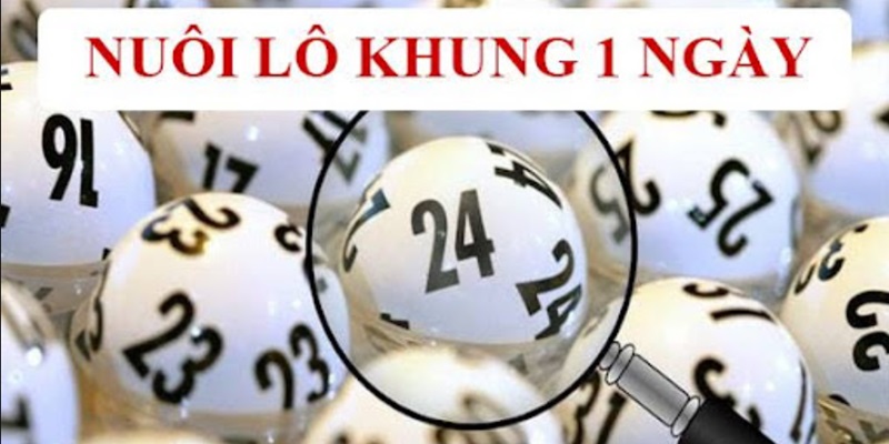 Áp dụng cách nuôi lô khung 1 ngày với nhiều lợi ích khác nhau