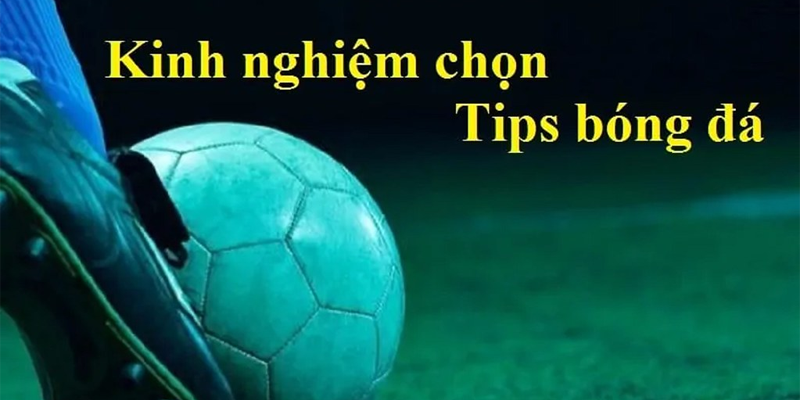 Tips bóng đá dự đoán kết quả trận đấu bóng đá